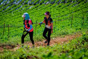 BIB: 
                            <button type="button" onclick="openModal(19164294)" class="btn btn-primary btn-sm float-right btn-popup" data-toggle="modal" data-target=".modal-high-quality">
                        <i class="fas fa-shopping-cart"></i> Add to Cart
                    </button>
                                            <button type="button" onclick="isThisMe(19164294, true)" class="btn btn-success btn-sm float-right btn-popup btn-isme hidden" data-toggle="tooltip" data-placement="bottom" title="นี่คือรูปของคุณใช่ไหม คลิกที่นี่เพื่อเอาเข้าอัลบั้ม">
                        <i class="fas fa-plus"></i> Add to album
                    </button>
                    <button type="button" onclick="isThisMe(19164294, false)" class="btn btn-warning btn-sm float-right btn-popup btn-isnotme hidden">
                        <i class="fas fa-ban"></i> Remove from album
                    </button>